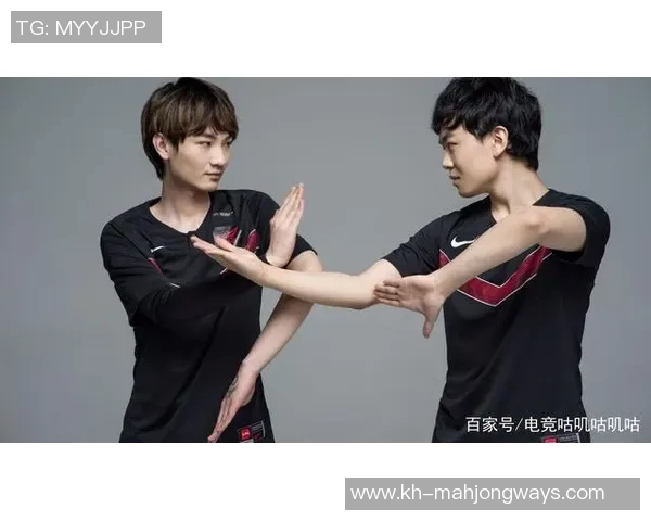 FPX战队强势崛起王者荣耀配合排行榜荣登第二名引发热议